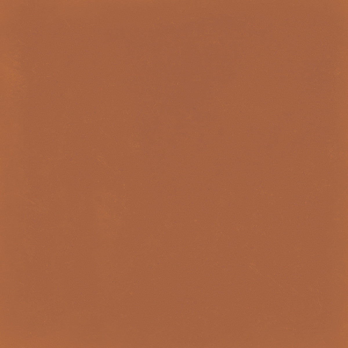 D_Segni Color Tangerine 8x8 Field Tile Matte