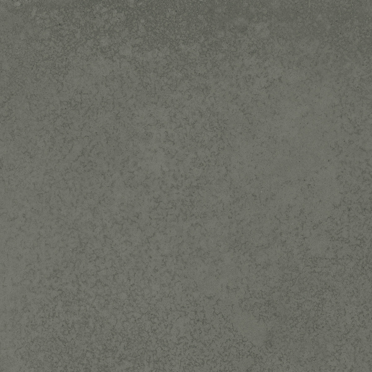 Scene Black 12x24 Field Tile