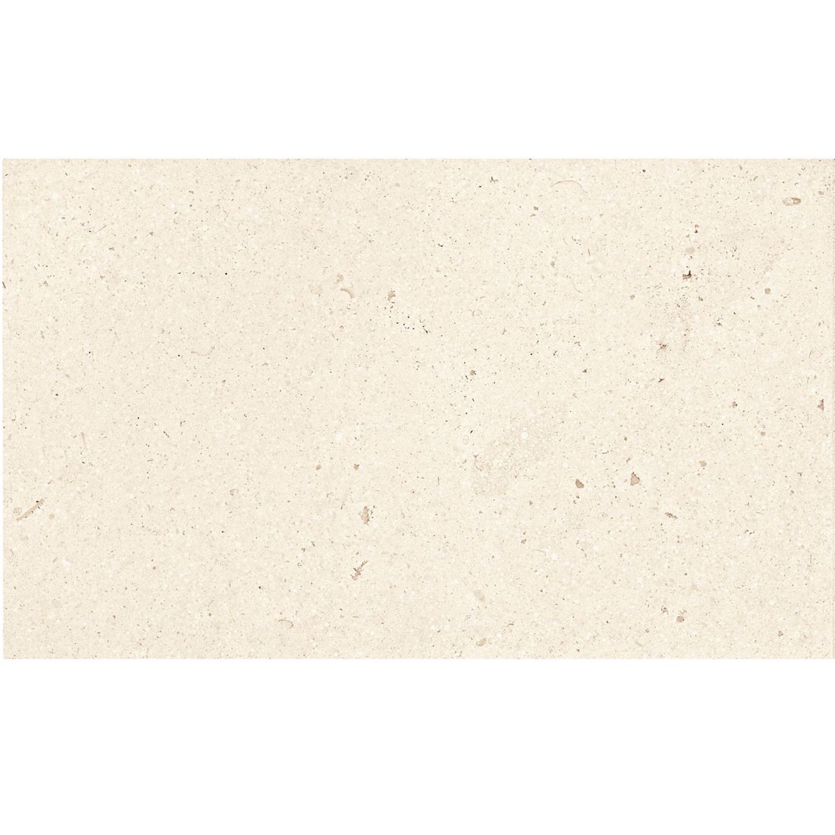 Studio Moderne Stone Paloma 5x8 Field Tile Honed