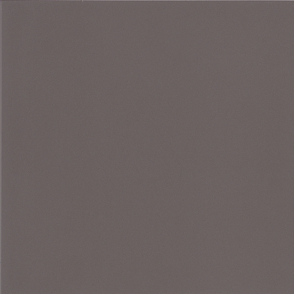 Global Collection Plain Warm Grey 12x12 Field Tile Matte