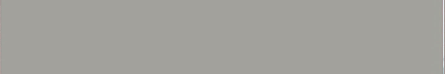 Soho Cement Chic 2x12 Field Tile Matte