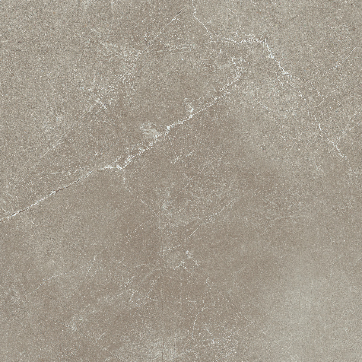 Classic Pulpis Moca 12X12 Matte