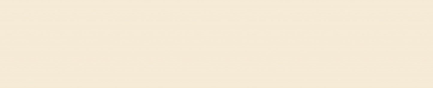 Melange Talc 4x21 Field Tile