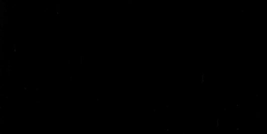 Color Story Black 3x6 Field Tile