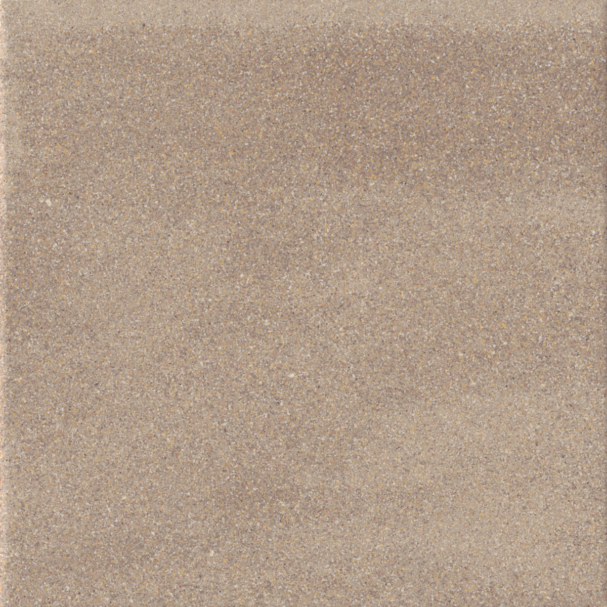 Scenes Mid Beige Sand 6x6 Field Tile Rectified