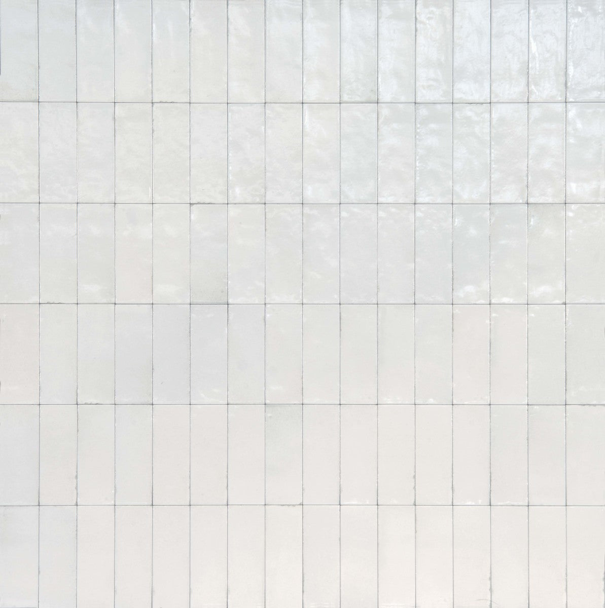 Rice Bianco 3x8 Field Tile