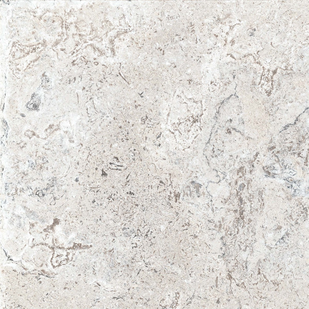 Creativo Greige 12x12 Field Tile Matte Rectified