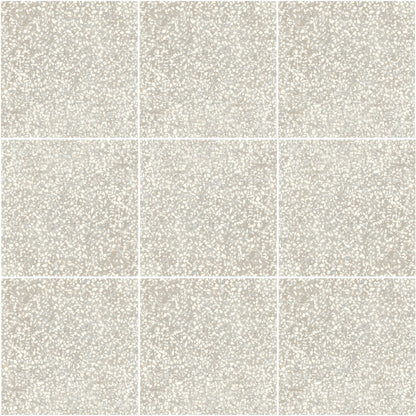 D_Segni Terrazzo White 8x8 Field Tile Matte