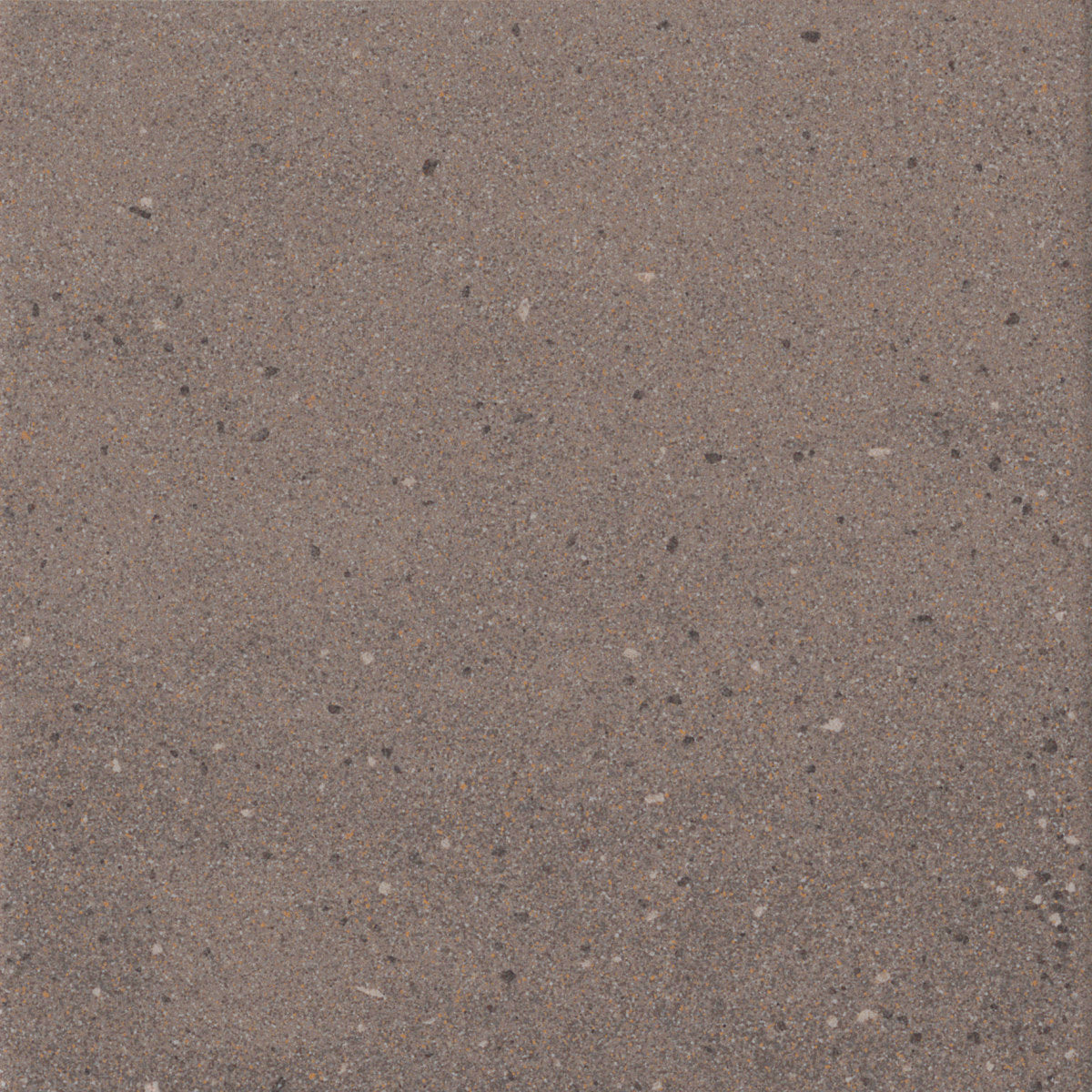 Scenes Warm Grey Grain 6x6 Field Tile Rectified