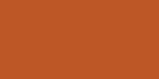 Color Story Blaze 3x6 Field Tile