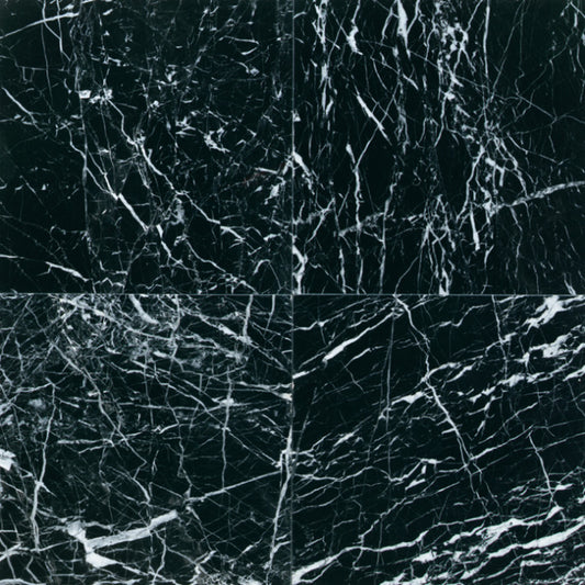 Stone Source China Black 12x12 Field Tile Polished