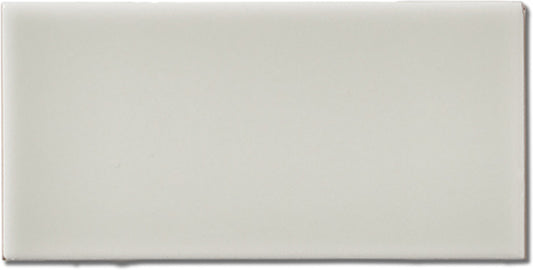 Pure Santa Cruz Gloss 3x6 Field Tile