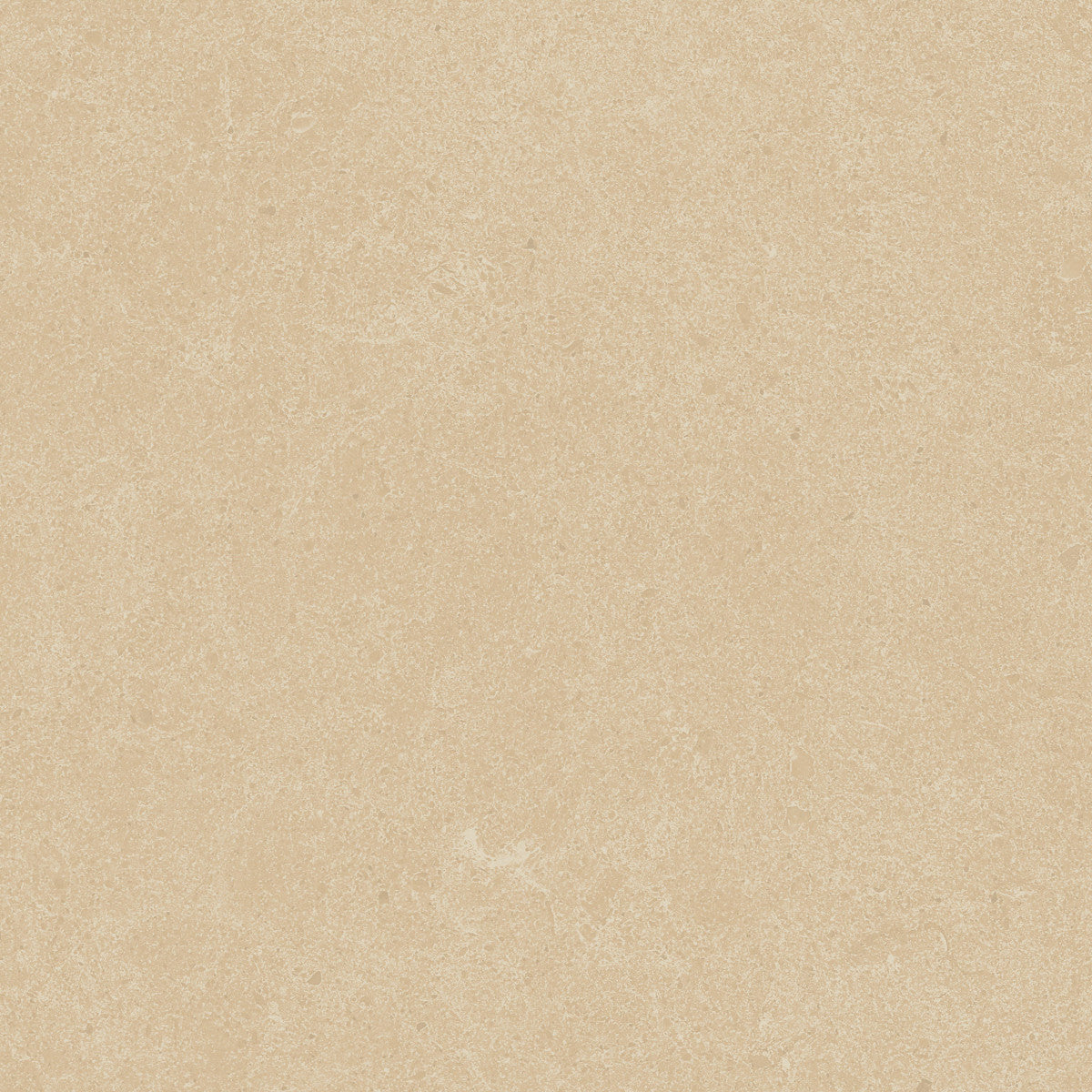 Argent 2.0 Winter Garden 12x12 Field Tile Rectified
