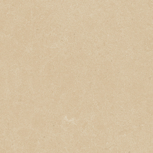 Argent 2.0 Winter Garden 12x12 Field Tile Rectified