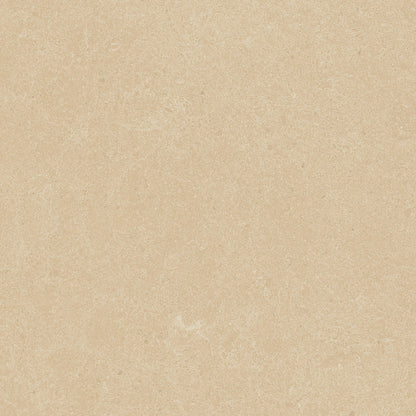 Argent 2.0 Winter Garden 12x12 Field Tile Rectified