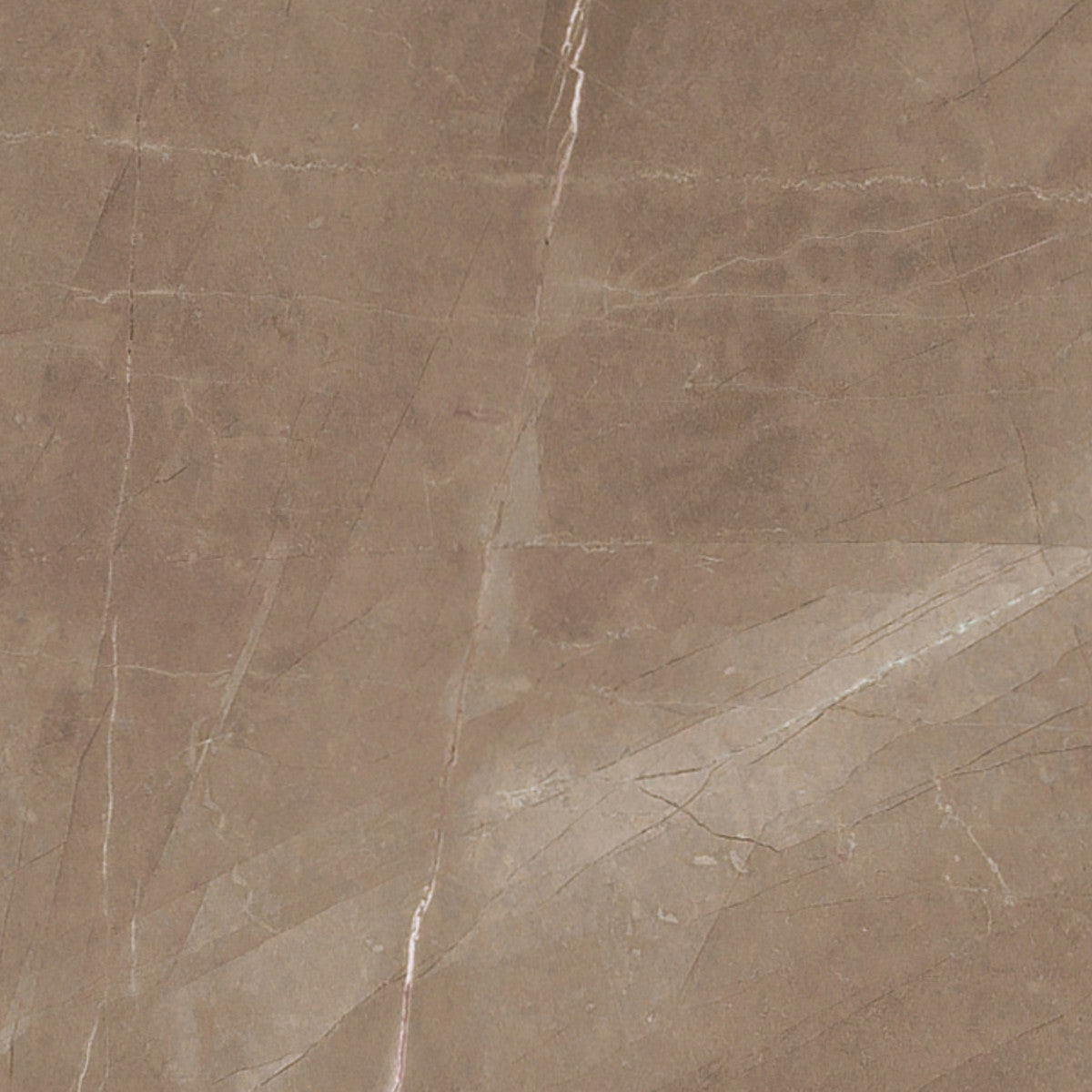 Luxury Amani Bronze 12x12 Field Tile Polished Rectified