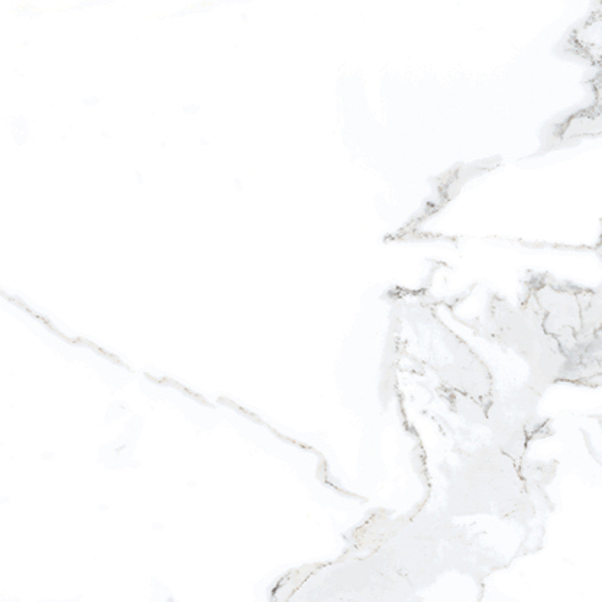 Luxury Calacatta 12x12 Field Tile Matte Rectified