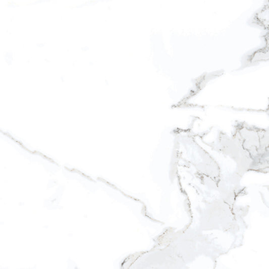 Luxury Calacatta 12x12 Field Tile Matte Rectified