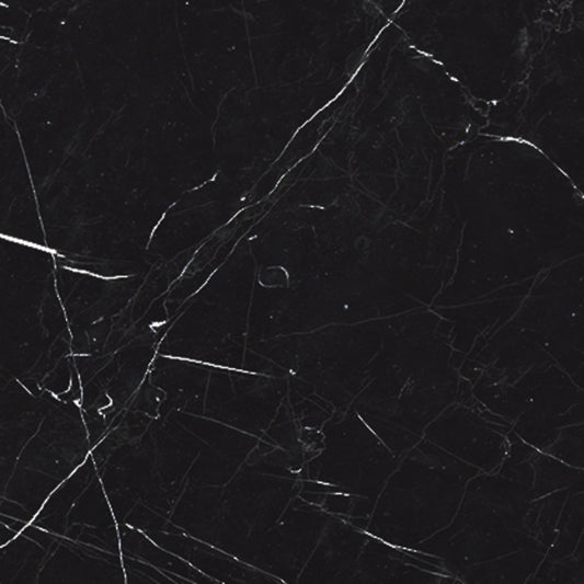 Luxury Nero Marquina 12x12 Field Tile Matte Rectified