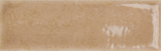 Skin Biscuit 2x5 Field Tile Glossy