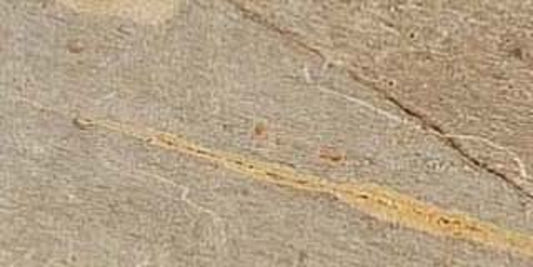 Slaty Ochre 3x6 Field Tile Matte