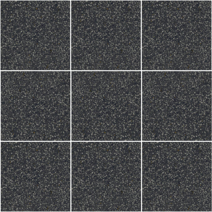 D_Segni Terrazzo Black 8x8 Field Tile Matte