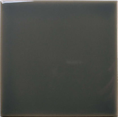 Fayenza Ebony 2-1/2x5 Field Tile