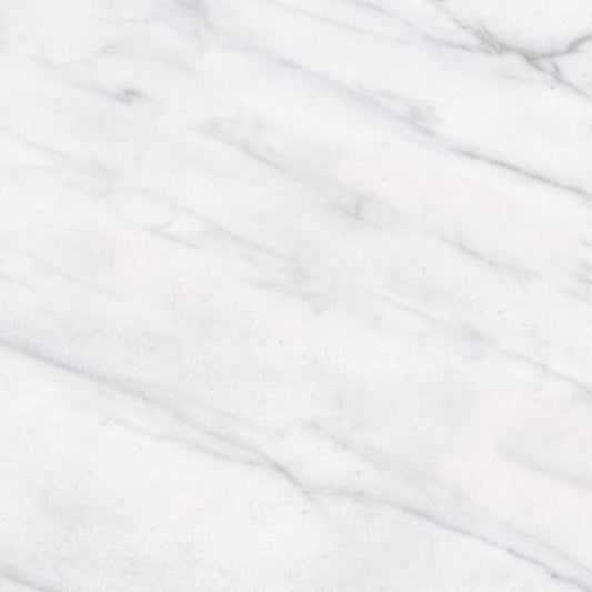 Classic Carrara 12X12 Matte