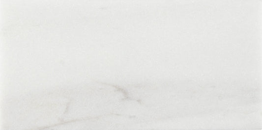 Corniche Exalt 3x6 Field Tile Polished