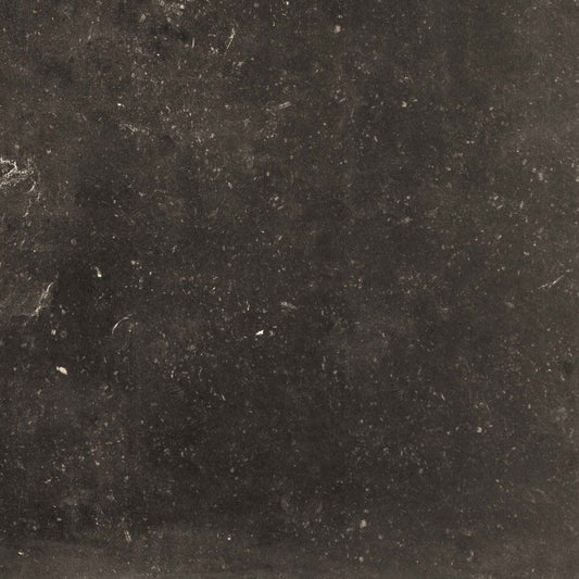 Belgica Belgica 12x12 Field Tile Matte Rectified