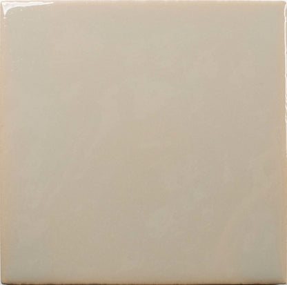 Fayenza Greige 2-1/2x5 Field Tile