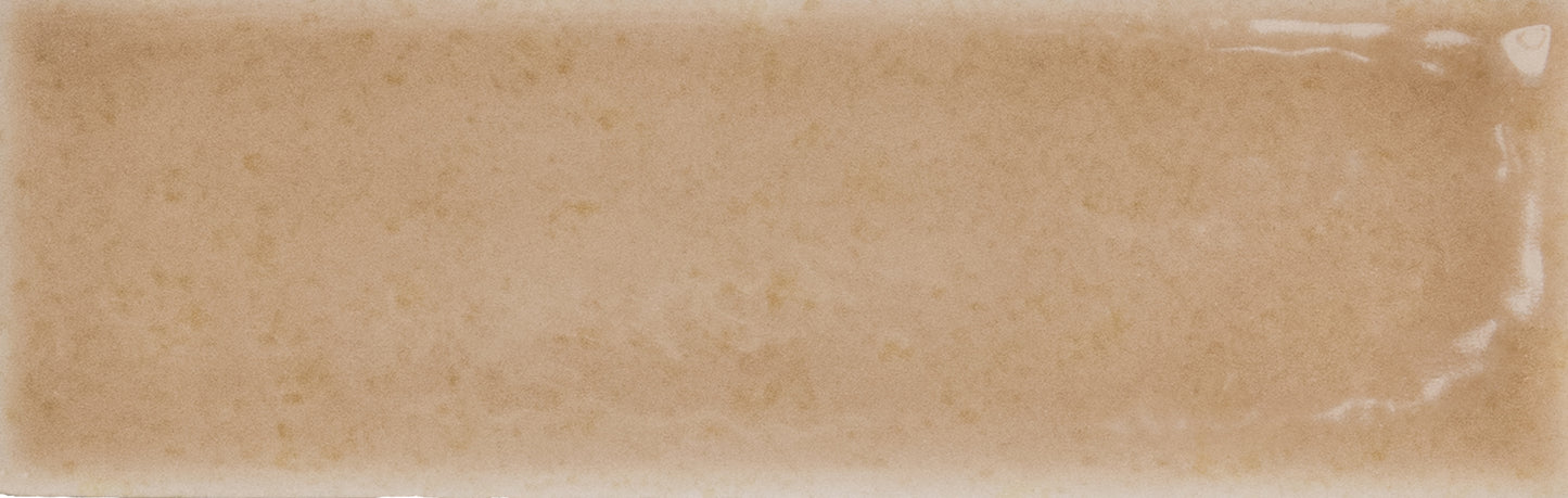 Skin Biscuit 2x5 Field Tile Glossy