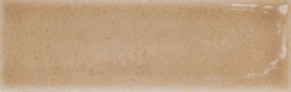 Skin Biscuit 2x5 Field Tile Glossy