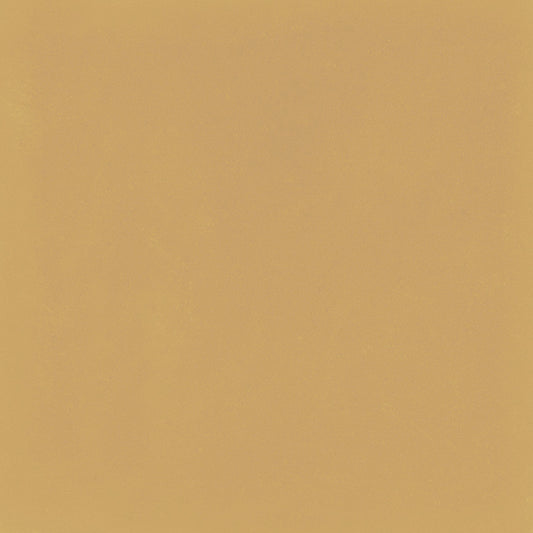 D_Segni Color Mustard 8x8 Field Tile Matte