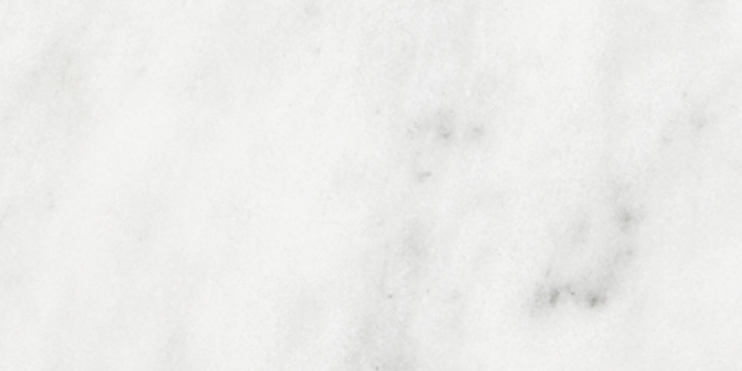Bianco Venatino Bianco Venatino 3x6 Field Tile Tile Polished