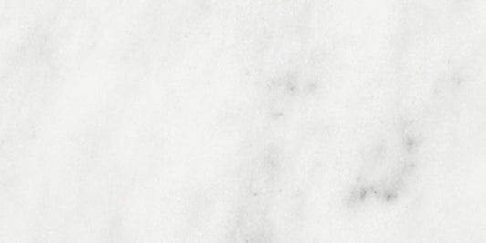 Bianco Venatino Bianco Venatino 3x6 Field Tile Honed