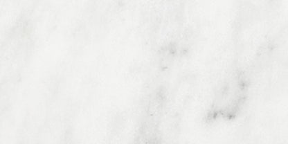 Bianco Venatino Bianco Venatino 3x6 Field Tile Honed