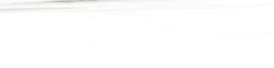 Epic Dolomite 3x12 Field Tile Polished rectified