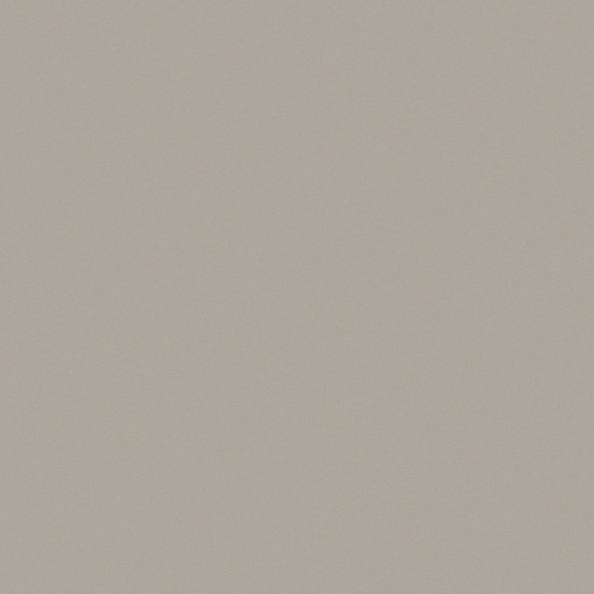 D_Segni Smoke 8x8 Field Tile Matte
