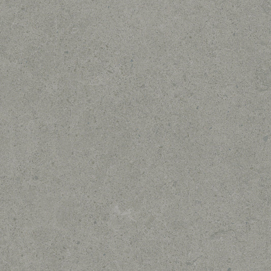 Argent 2.0 Grey Tabby 12x12 Field Tile Rectified