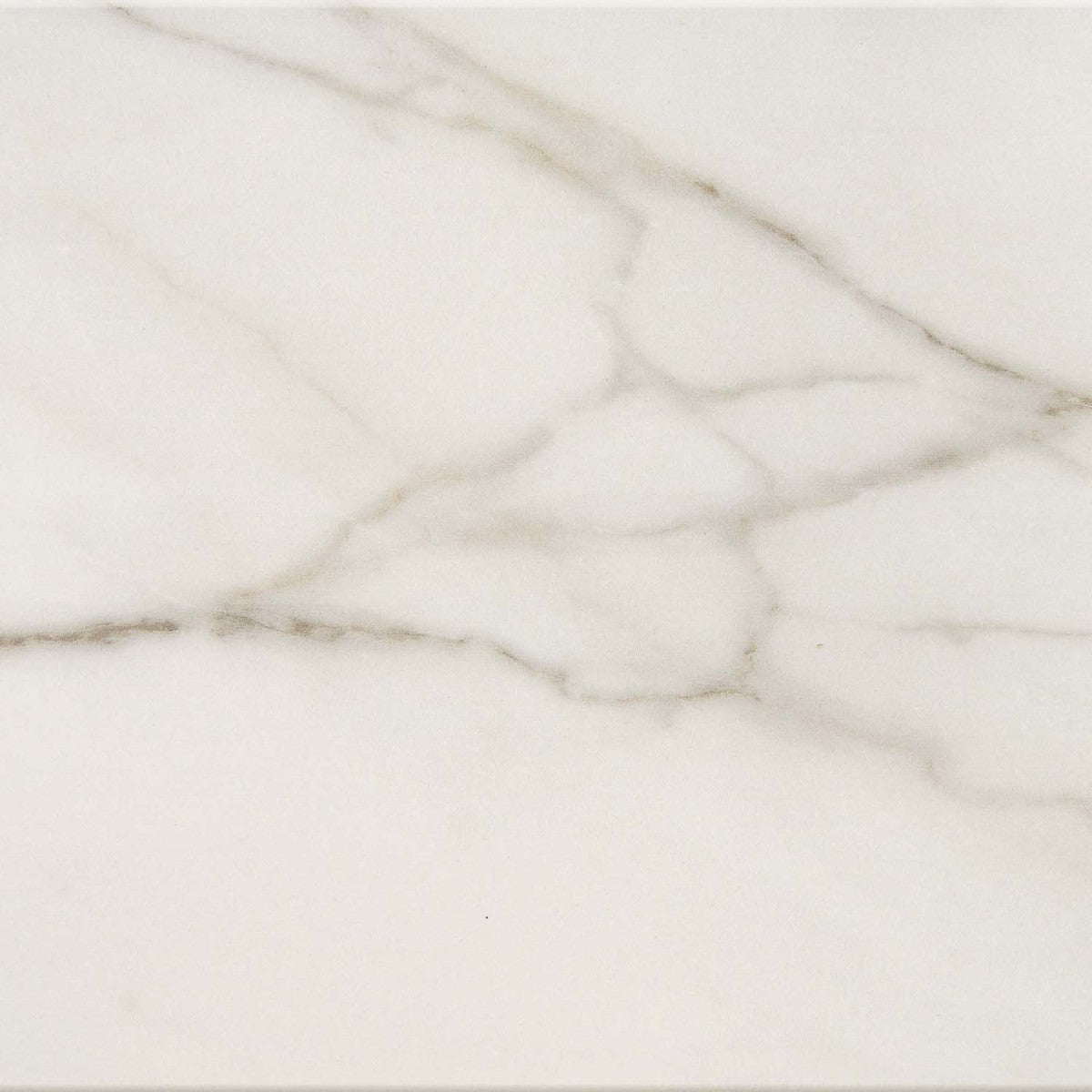 Mythique Marble Calacatta Venecia 12x12 Field Tile Matte Rectified