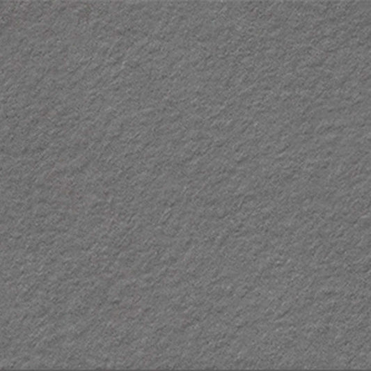 Urban Living Titanium 12x12 Field Tile Raw Rectified