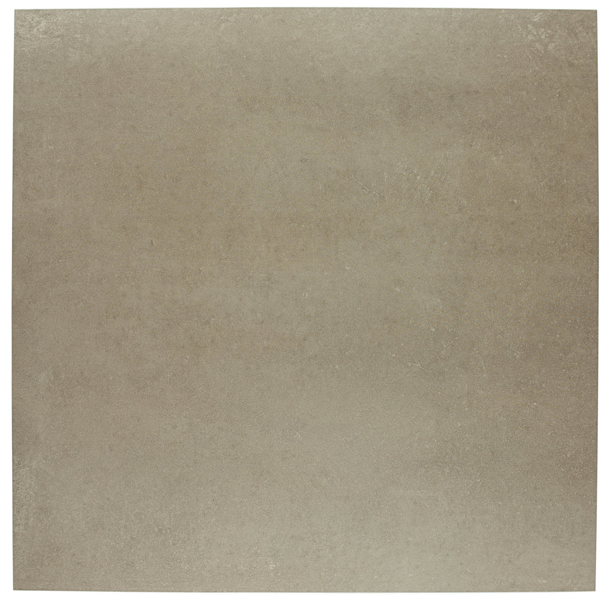 Notorious Suspense 12x12 Field Tile Matte Rectified