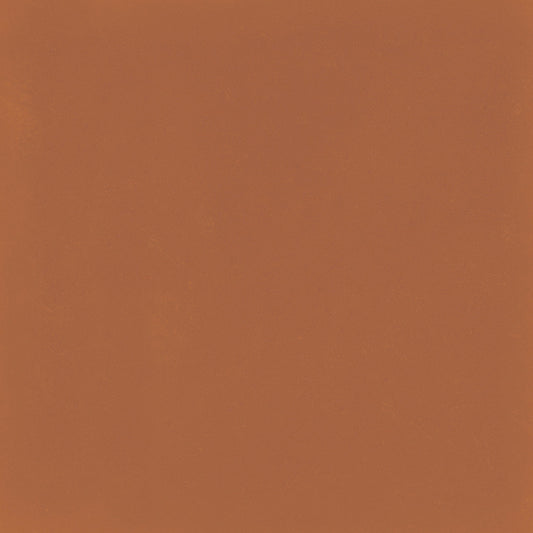 D_Segni Color Tangerine 8x8 Field Tile Matte