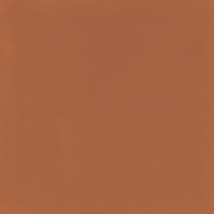 D_Segni Color Tangerine 8x8 Field Tile Matte