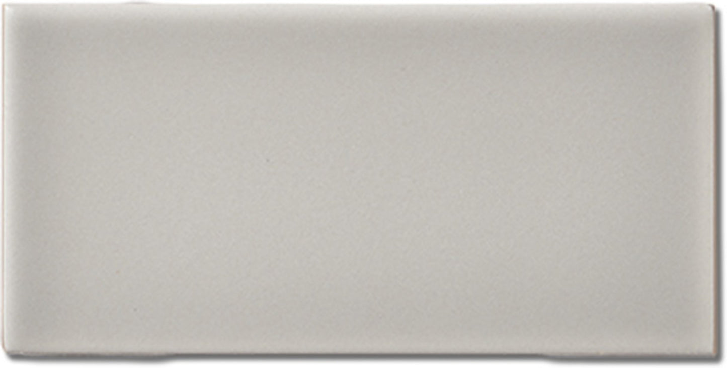 Pure Point Reyes Matte 3x6 Field Tile