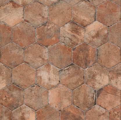Chicago Old Chicago 9x11 Hexagon Matte