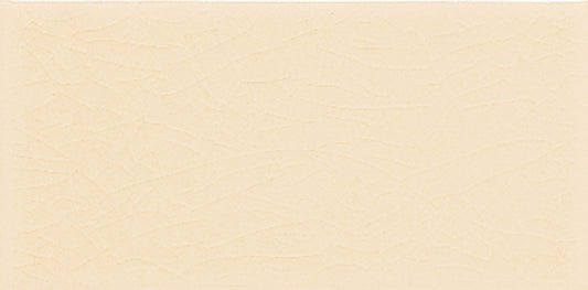 Delray Beaches 3x6 Field Tile Crackle