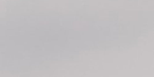 Classics Tide Fog Grey 4x8 Field Tile Gloss