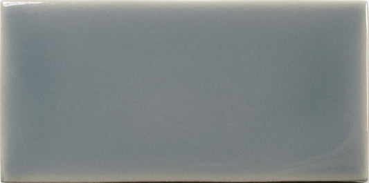Fayenza Mineral Gray 2-1/2x5 Field Tile